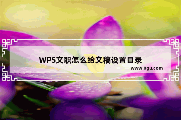 WPS文职怎么给文稿设置目录