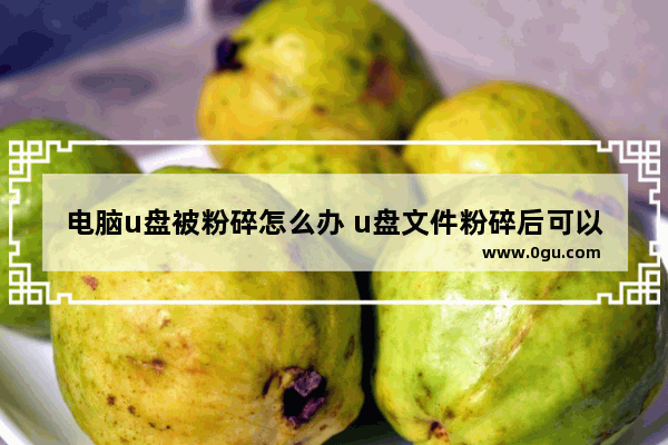 电脑u盘被粉碎怎么办 u盘文件粉碎后可以恢复吗