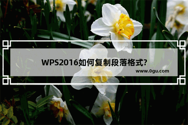 WPS2016如何复制段落格式?