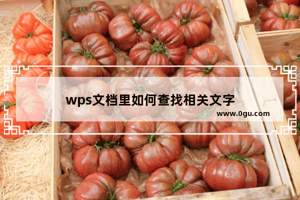 wps文档里如何查找相关文字