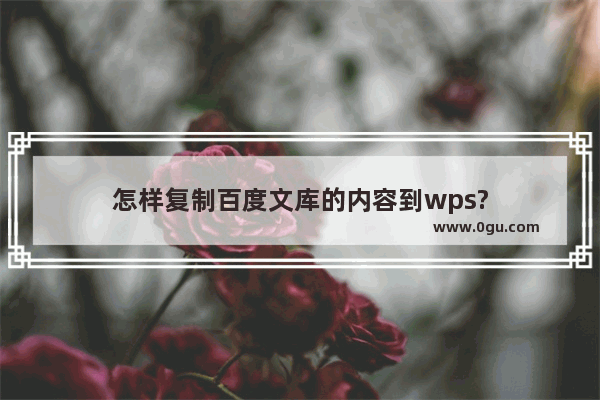 怎样复制百度文库的内容到wps?