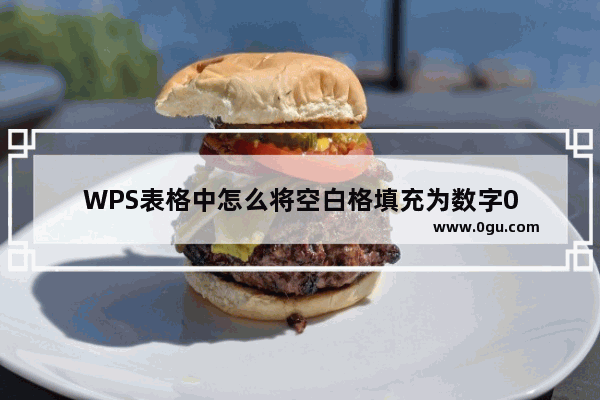WPS表格中怎么将空白格填充为数字0