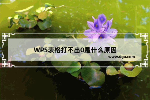 WPS表格打不出0是什么原因
