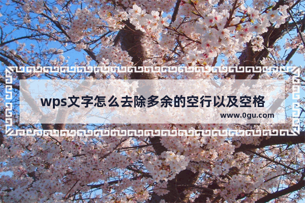 wps文字怎么去除多余的空行以及空格