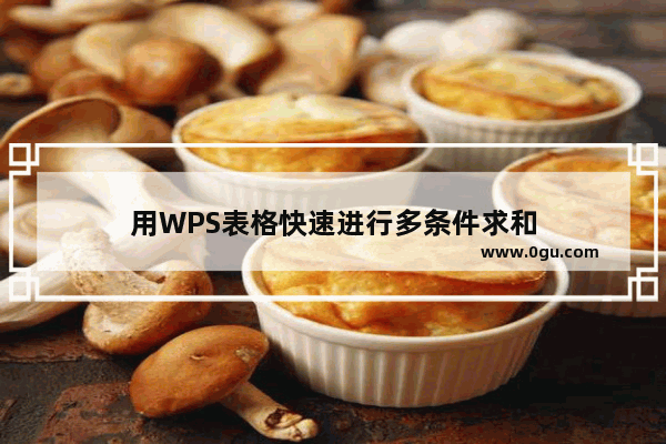 用WPS表格快速进行多条件求和
