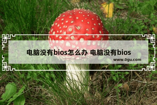 电脑没有bios怎么办 电脑没有bios怎么办