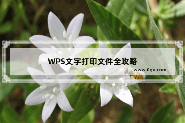 WPS文字打印文件全攻略