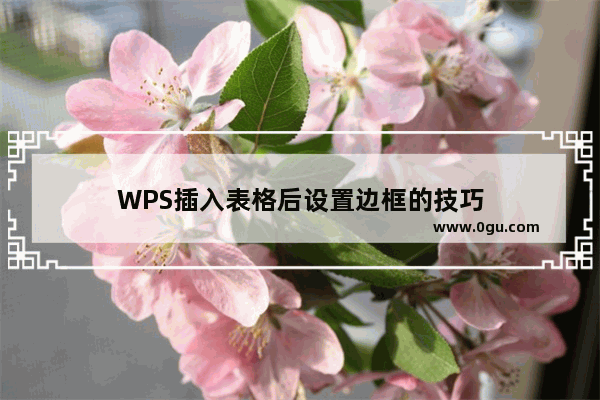 WPS插入表格后设置边框的技巧