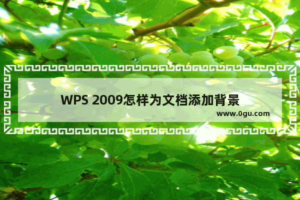 WPS 2009怎样为文档添加背景