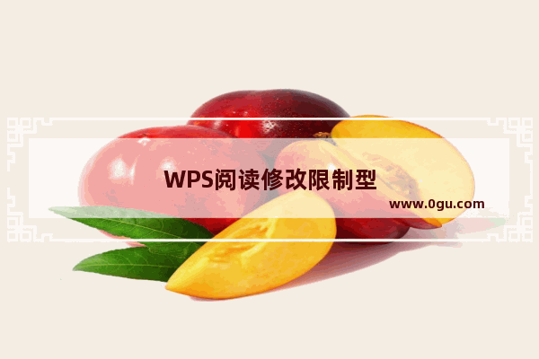 WPS阅读修改限制型