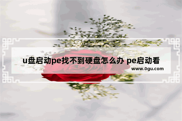 u盘启动pe找不到硬盘怎么办 pe启动看不到u盘