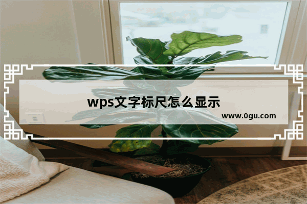 wps文字标尺怎么显示
