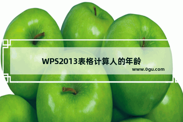 WPS2013表格计算人的年龄