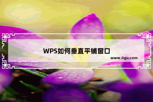WPS如何垂直平铺窗口