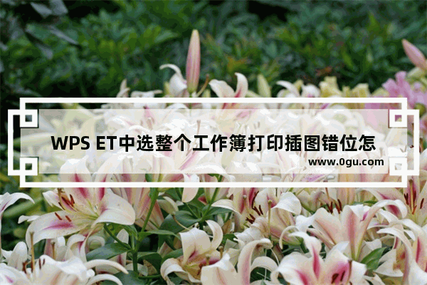 WPS ET中选整个工作簿打印插图错位怎么办