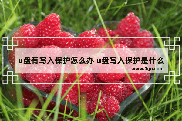 u盘有写入保护怎么办 u盘写入保护是什么意思
