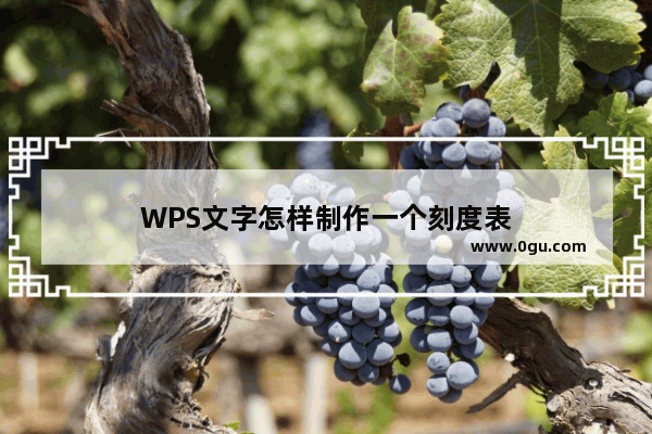 WPS文字怎样制作一个刻度表