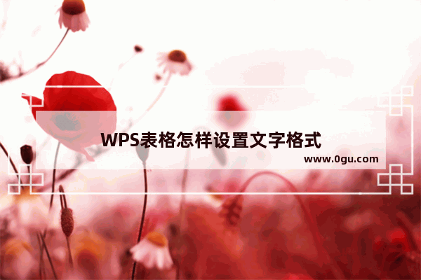 WPS表格怎样设置文字格式