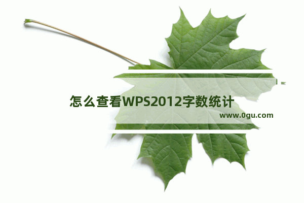 怎么查看WPS2012字数统计