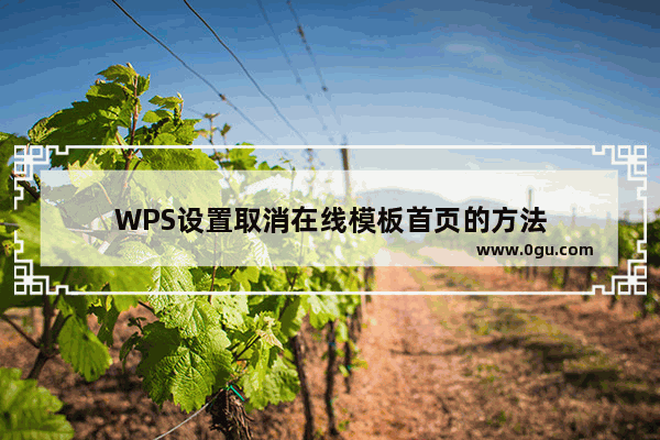 WPS设置取消在线模板首页的方法