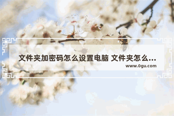 文件夹加密码怎么设置电脑 文件夹怎么加密码怎么设置密码