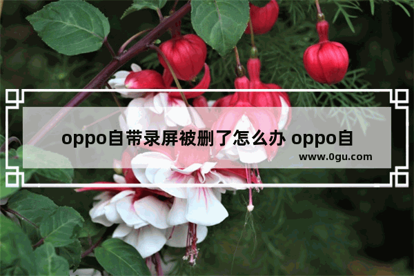 oppo自带录屏被删了怎么办 oppo自带屏幕录制被删了怎么办