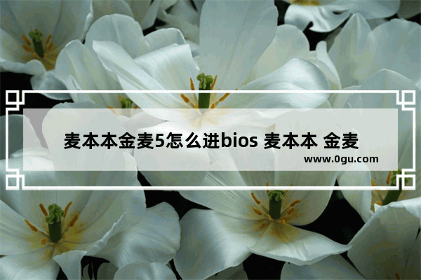 麦本本金麦5怎么进bios 麦本本 金麦6a