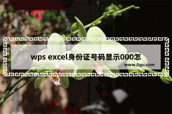 wps excel身份证号码显示000怎么批量恢复 WPS Excel中批量恢复身份证号码显示000的方法