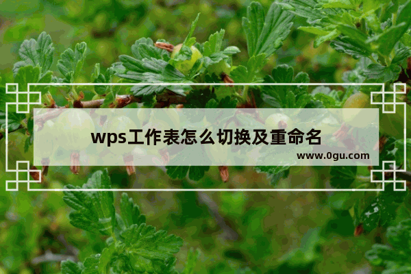 wps工作表怎么切换及重命名