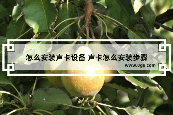怎么安装声卡设备 声卡怎么安装步骤