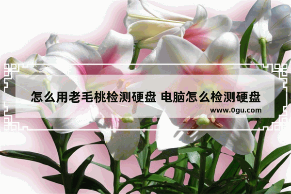 怎么用老毛桃检测硬盘 电脑怎么检测硬盘