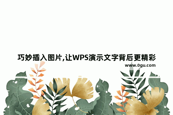 巧妙插入图片,让WPS演示文字背后更精彩