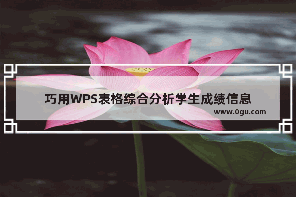 巧用WPS表格综合分析学生成绩信息