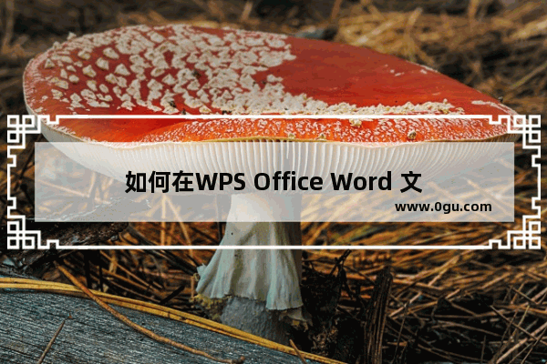 如何在WPS Office Word 文档中插入的对象