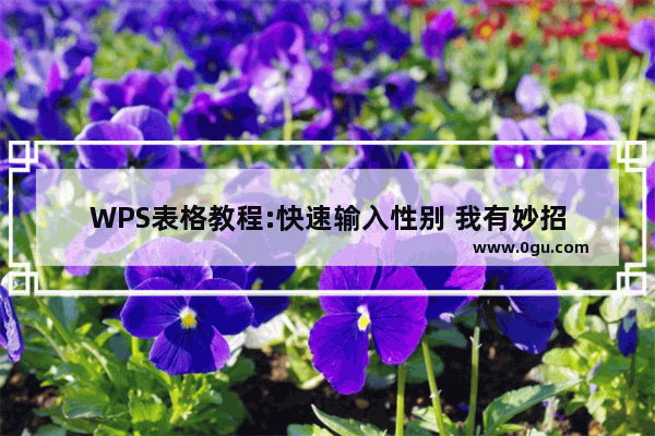 WPS表格教程:快速输入性别 我有妙招