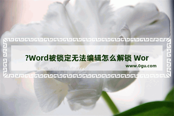 ?Word被锁定无法编辑怎么解锁 Word文档解决无法编辑的方法教程