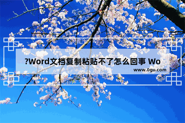 ?Word文档复制粘贴不了怎么回事 Word文档解决无法复制粘贴的方法教程