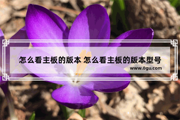 怎么看主板的版本 怎么看主板的版本型号