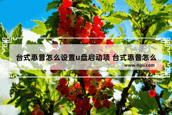 台式惠普怎么设置u盘启动项 台式惠普怎么设置u盘启动项位置