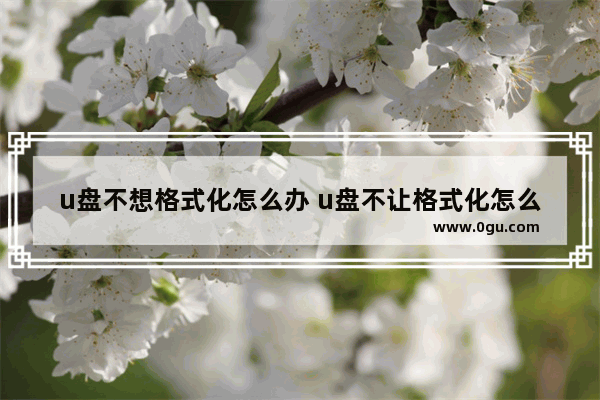 u盘不想格式化怎么办 u盘不让格式化怎么回事