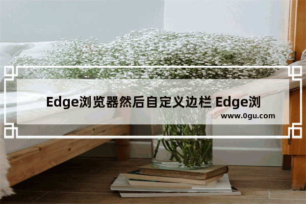 Edge浏览器然后自定义边栏 Edge浏览器自定义边栏的方法