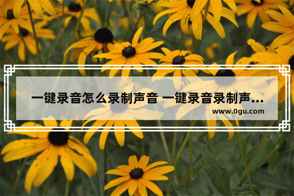 一键录音怎么录制声音 一键录音录制声音的方法