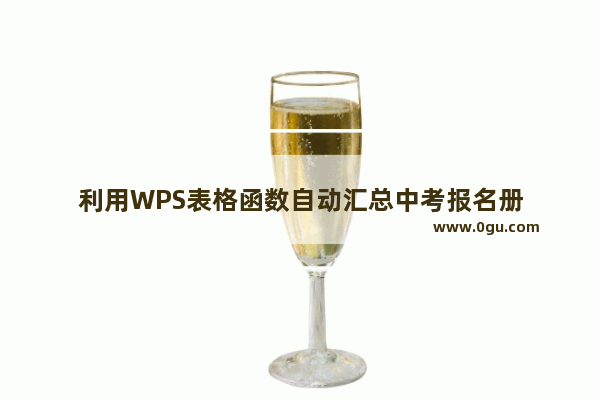 利用WPS表格函数自动汇总中考报名册