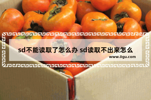 sd不能读取了怎么办 sd读取不出来怎么回事