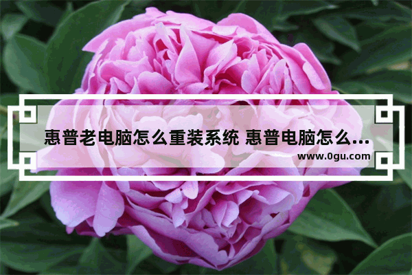惠普老电脑怎么重装系统 惠普电脑怎么重装出厂系统