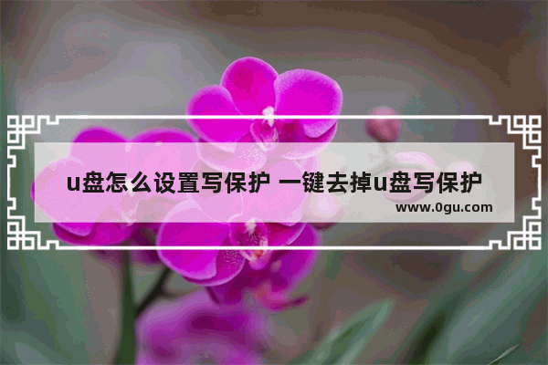 u盘怎么设置写保护 一键去掉u盘写保护