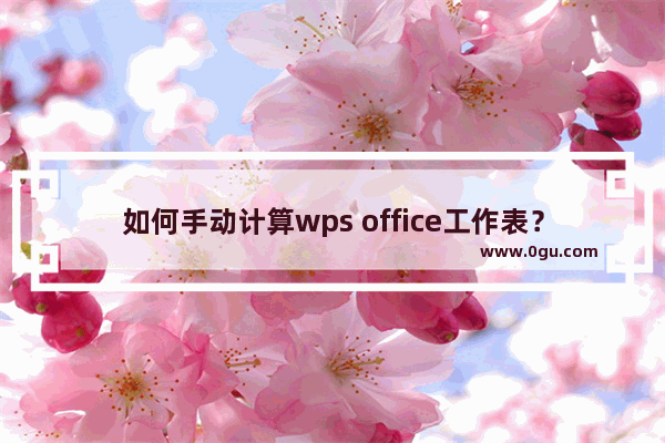 如何手动计算wps office工作表？