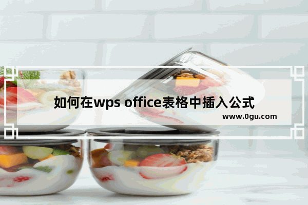 如何在wps office表格中插入公式？