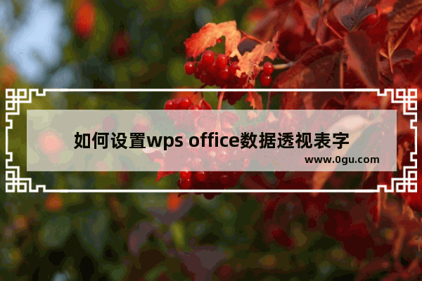 如何设置wps office数据透视表字段？