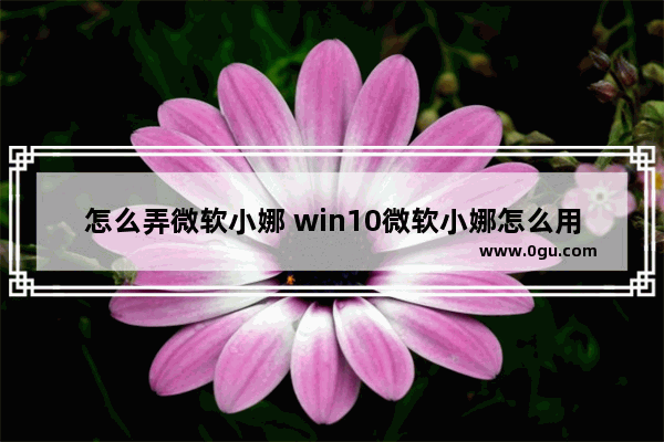 怎么弄微软小娜 win10微软小娜怎么用